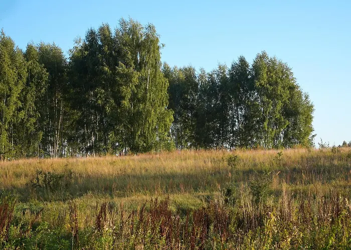 펜션 Chata Pilchy Pilchy